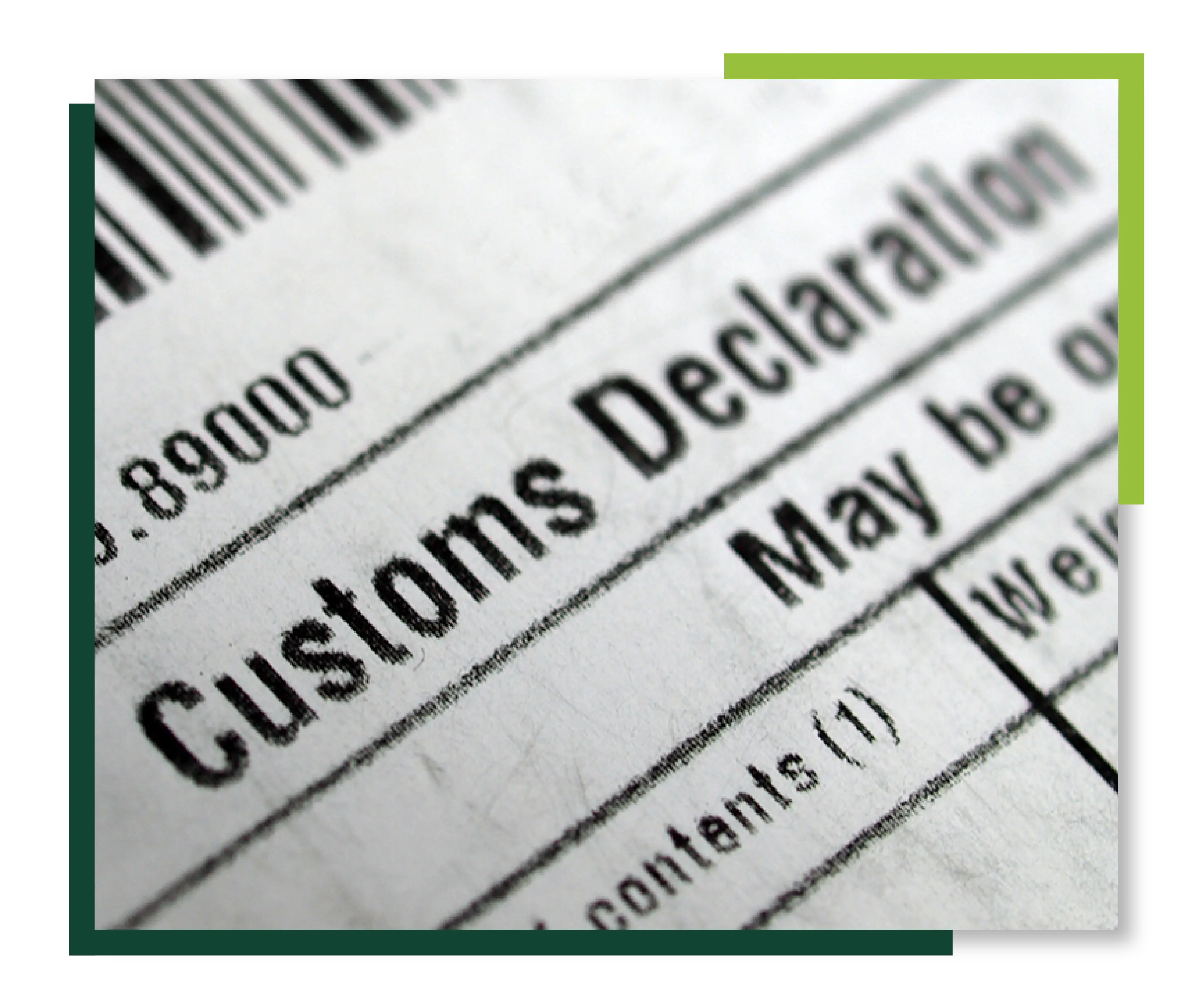 A customs declaration form made easy to customers as a dedicated 
                    team of Norsk Global experts are at hand. 